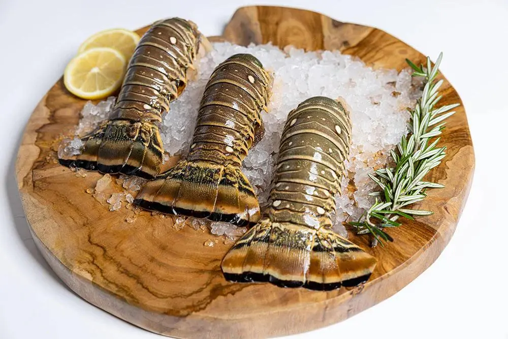 Lobster Tail Raw Shell-On 4-5oz