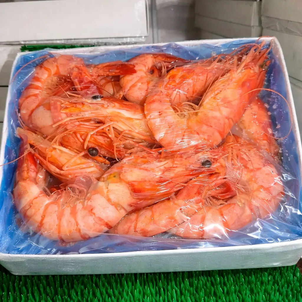 Black Tiger Hoso Semi IQF Cooked 16/20