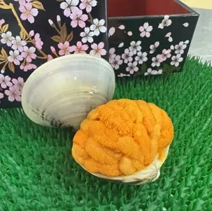 Frozen Boiled Uni in Shell