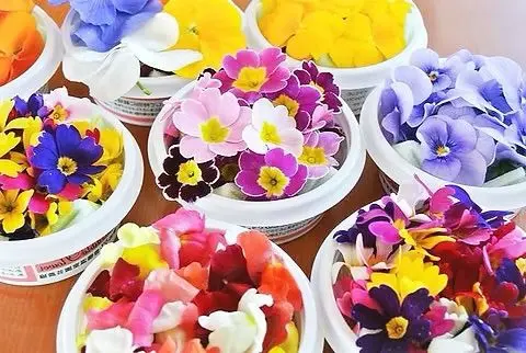 Fresh Edible Mixed Flower