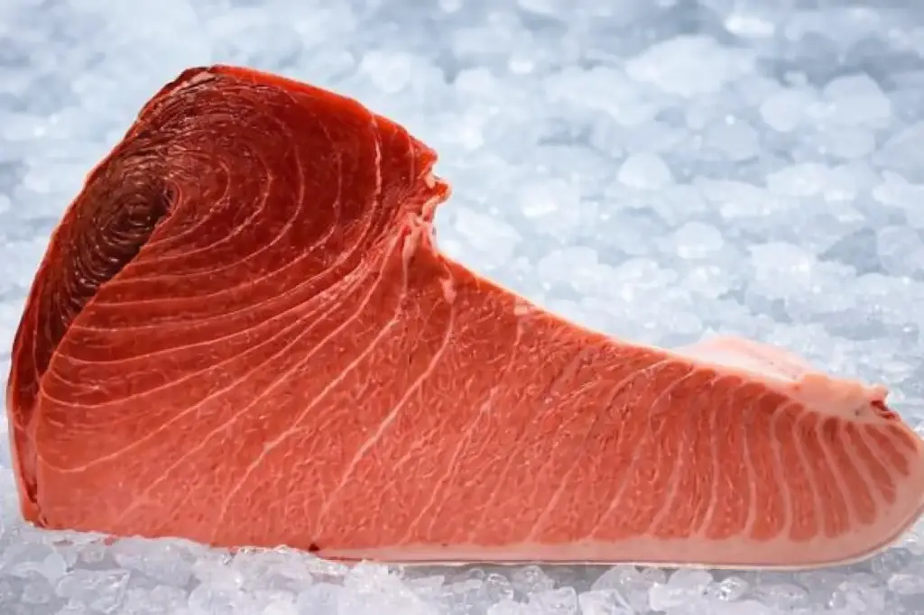 Fresh Maguro Harakami