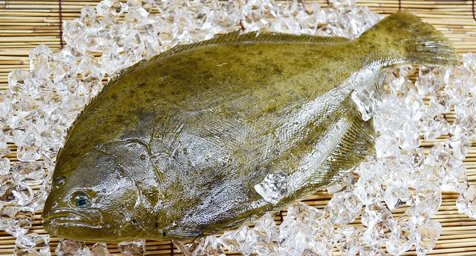 Fresh Hirame Whole Round