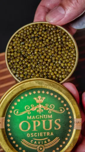 [CNQDH-CVR-003] Magnum Opus Oscietra - 100g