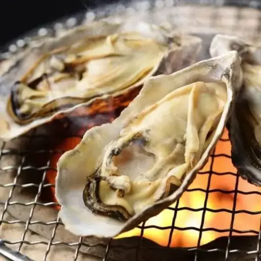 [KBY-OYS-002] Japan Harimanada Hyogo Oysters 60-79g (Non-Sashimi Grade)