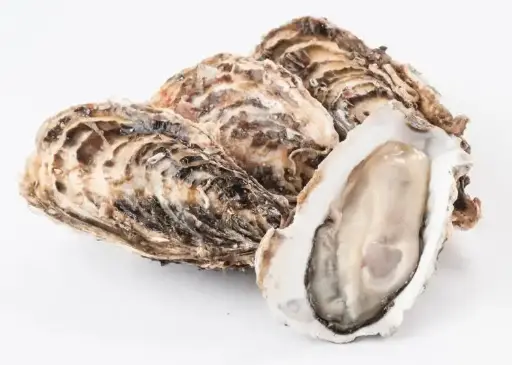 [JTC-OYS-001] Japan Miyagi Oysters - Sanyosuisan 50-70g