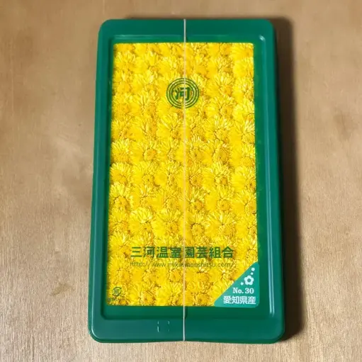 [FBI-FV-001] Fresh Japan Kogiku