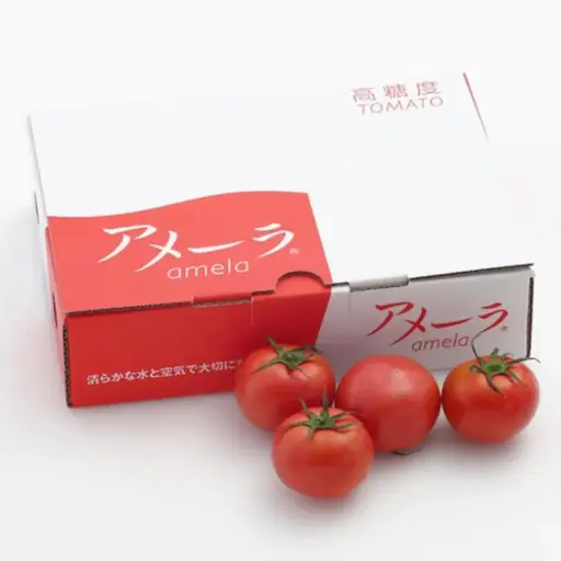 [FBI-FV-003] Fresh Japan Amela Tomatoes
