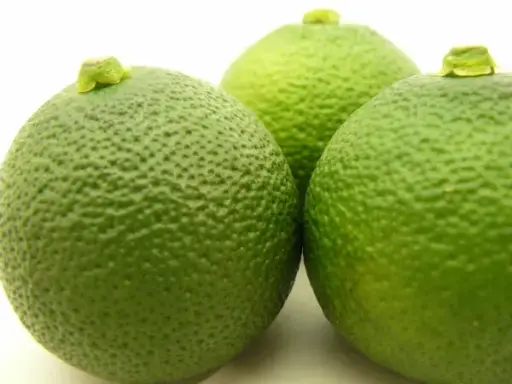 [FBI-FV-011] Fresh Japan Yuzu 